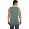 image:imageComfort Colors unisexadult mens ClassicLight Green